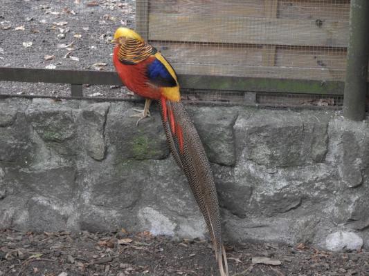 heimattiergarten-tierpark-zoo-fuerstenwalde-tiere-156