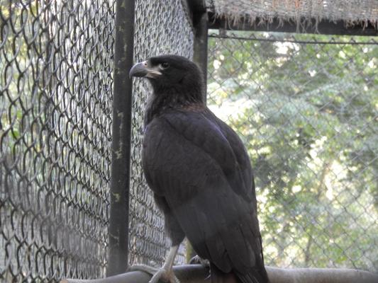 heimattiergarten-tierpark-zoo-fuerstenwalde-tiere-143