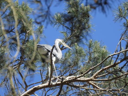 heimattiergarten-tierpark-zoo-fuerstenwalde-tiere-170