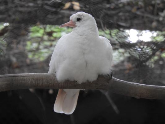 heimattiergarten-tierpark-zoo-fuerstenwalde-tiere-288