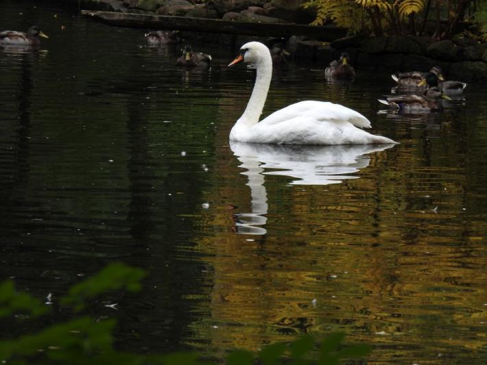 heimattiergarten-tierpark-zoo-fuerstenwalde-tiere-404